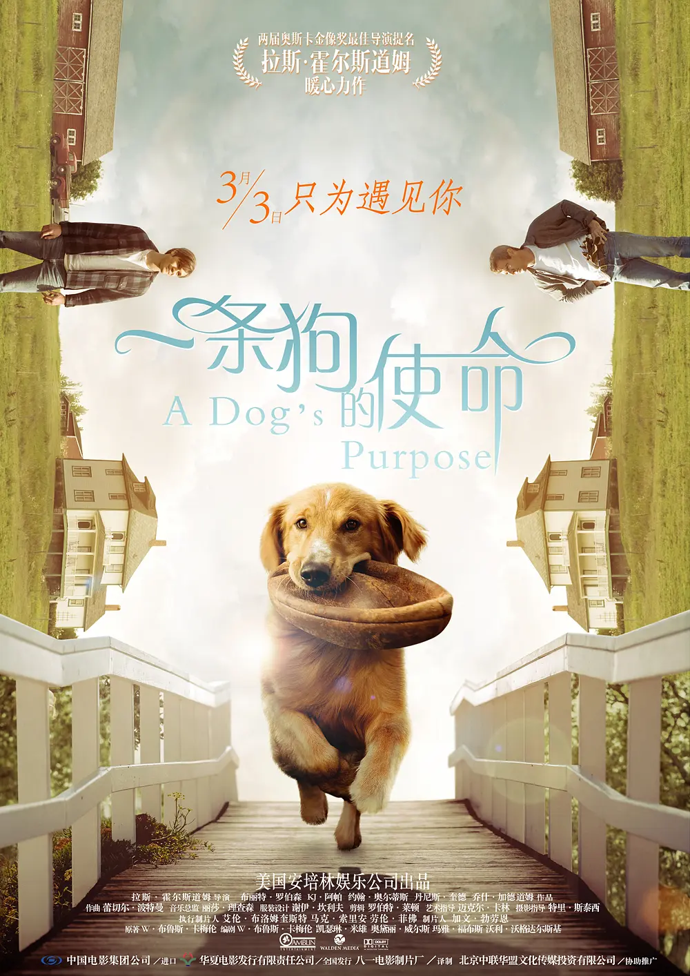 Featured image of post 《一条狗的使命》(A Dog's Purpose)：在一次次告别里，学会此刻相爱
