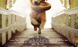 Featured image of post 《一条狗的使命》(A Dog's Purpose)：在一次次告别里，学会此刻相爱