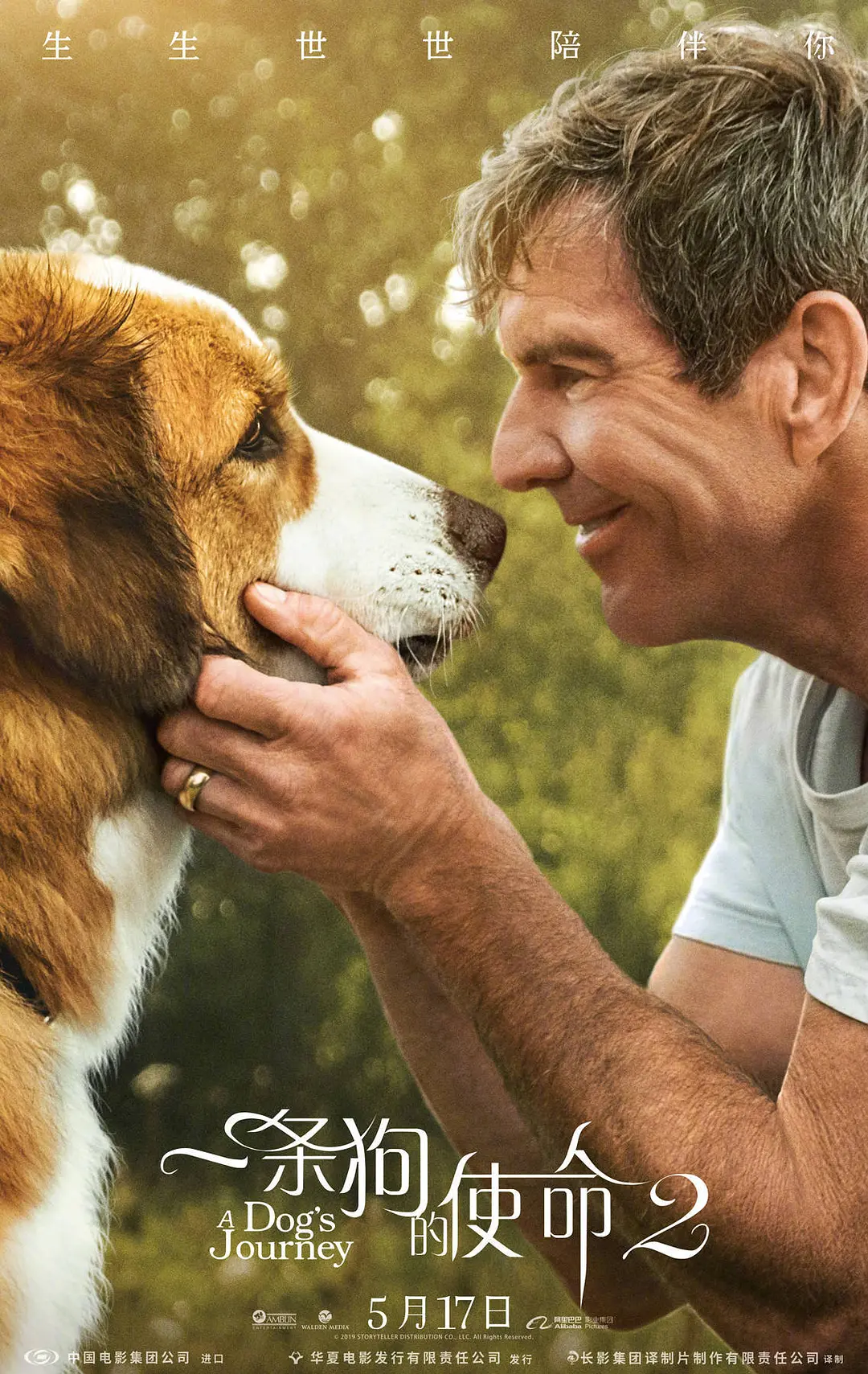 Featured image of post 《一条狗的旅程》(A Dog's Journey)：跨越轮回的执念与爱的终极守护