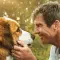 《一条狗的旅程》(A Dog's Journey)：跨越轮回的执念与爱的终极守护
