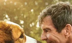 Featured image of post 《一条狗的旅程》(A Dog's Journey)：跨越轮回的执念与爱的终极守护