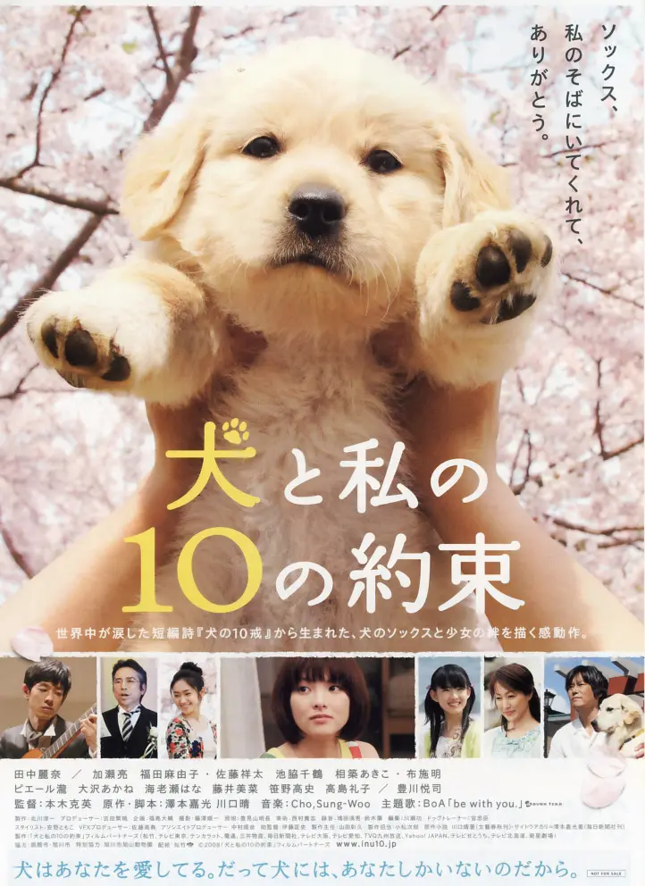 Featured image of post 《与狗狗的10个约定》(10 Promises to My Dog)：在有限的生命里，学会如何爱一个不会说话的家人