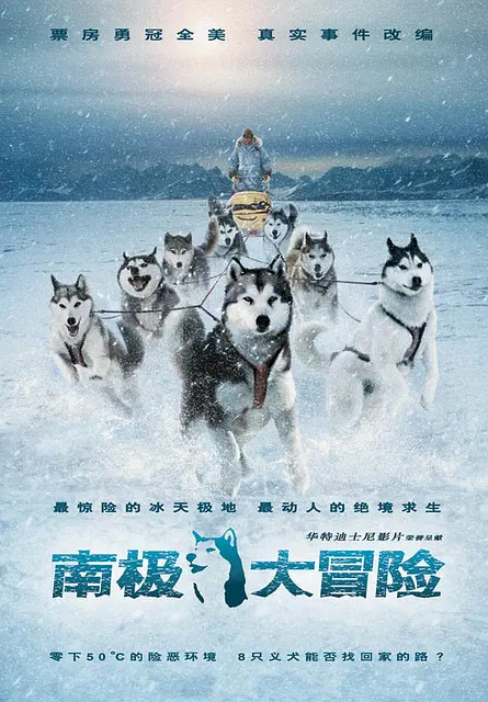Featured image of post 《南极大冒险》(Eight Below)：冰封荒野中的忠诚史诗与生命伦理救赎