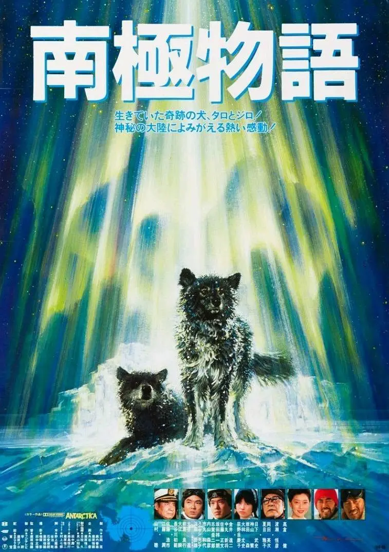 Featured image of post 《南极物语》(Antarctica):极地荒原上的生命挽歌与人类罪咎