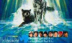 Featured image of post 《南极物语》(Antarctica)：极地荒原上的生命挽歌与人类罪咎