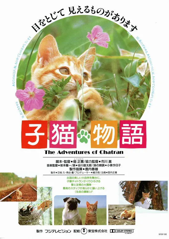 Featured image of post 《子猫物语》(The Adventures of Chatran)：旷野是摇篮，孤独是成年礼