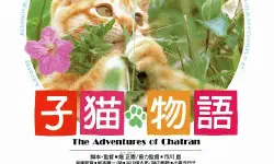 Featured image of post 《子猫物语》(The Adventures of Chatran)：旷野是摇篮，孤独是成年礼