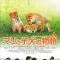 《心动奇迹：玛莉和3只幼犬的故事》(A Tale of Mari and Three Puppies)：灾难废墟下的生灵羁绊与文明韧性