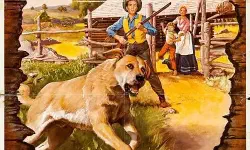 Featured image of post 《忠犬情深》(Old Yeller)：当爱必须学会放手