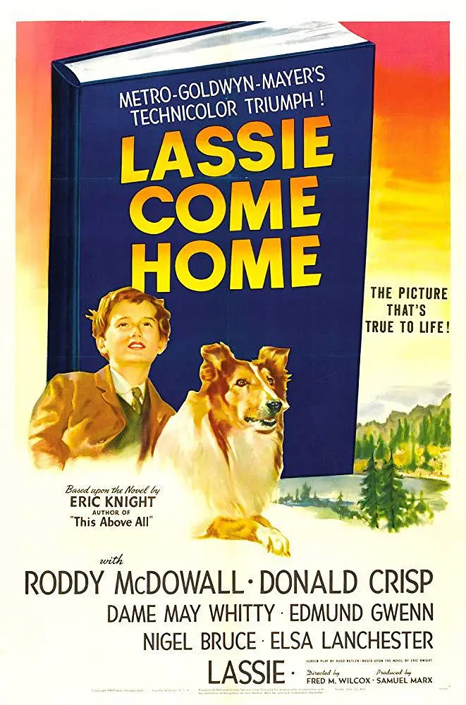 Featured image of post 《灵犬莱西》(Lassie Come Home)：跨越荒野的忠诚契约与阶级寓言