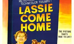 Featured image of post 《灵犬莱西》(Lassie Come Home)：跨越荒野的忠诚契约与阶级寓言