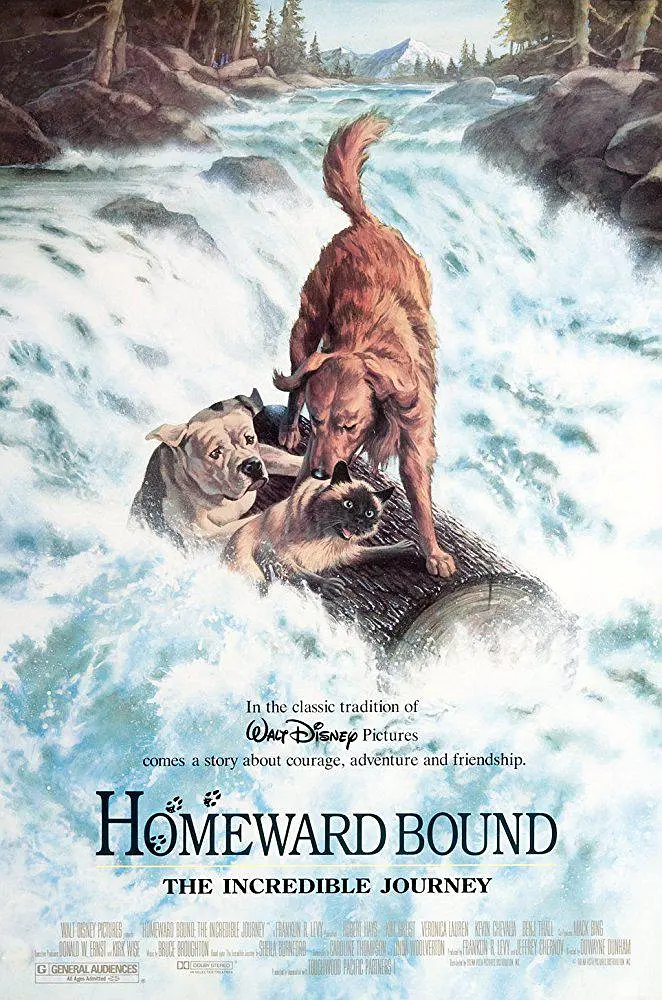 Featured image of post 《看狗在说话》(Homeward Bound: The Incredible Journey)：归途漫漫，爱是跨越荒野的唯一坐标