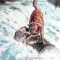《看狗在说话》(Homeward Bound: The Incredible Journey)：归途漫漫，爱是跨越荒野的唯一坐标