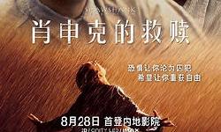 Featured image of post 《肖申克的救赎》(The Shawshank Redemption)：高墙内的精神救赎与希望的越狱哲学